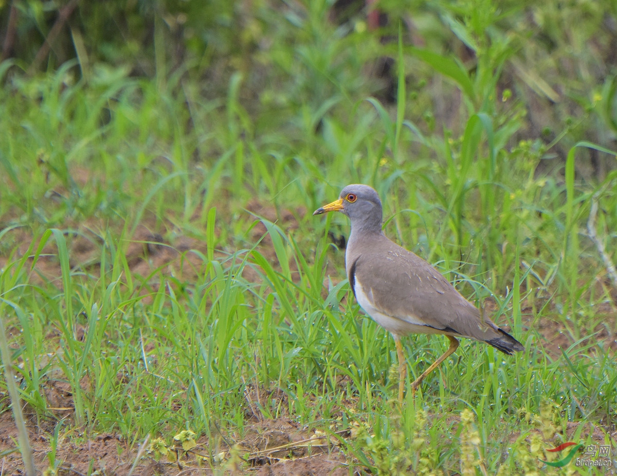 D72_3780.jpg