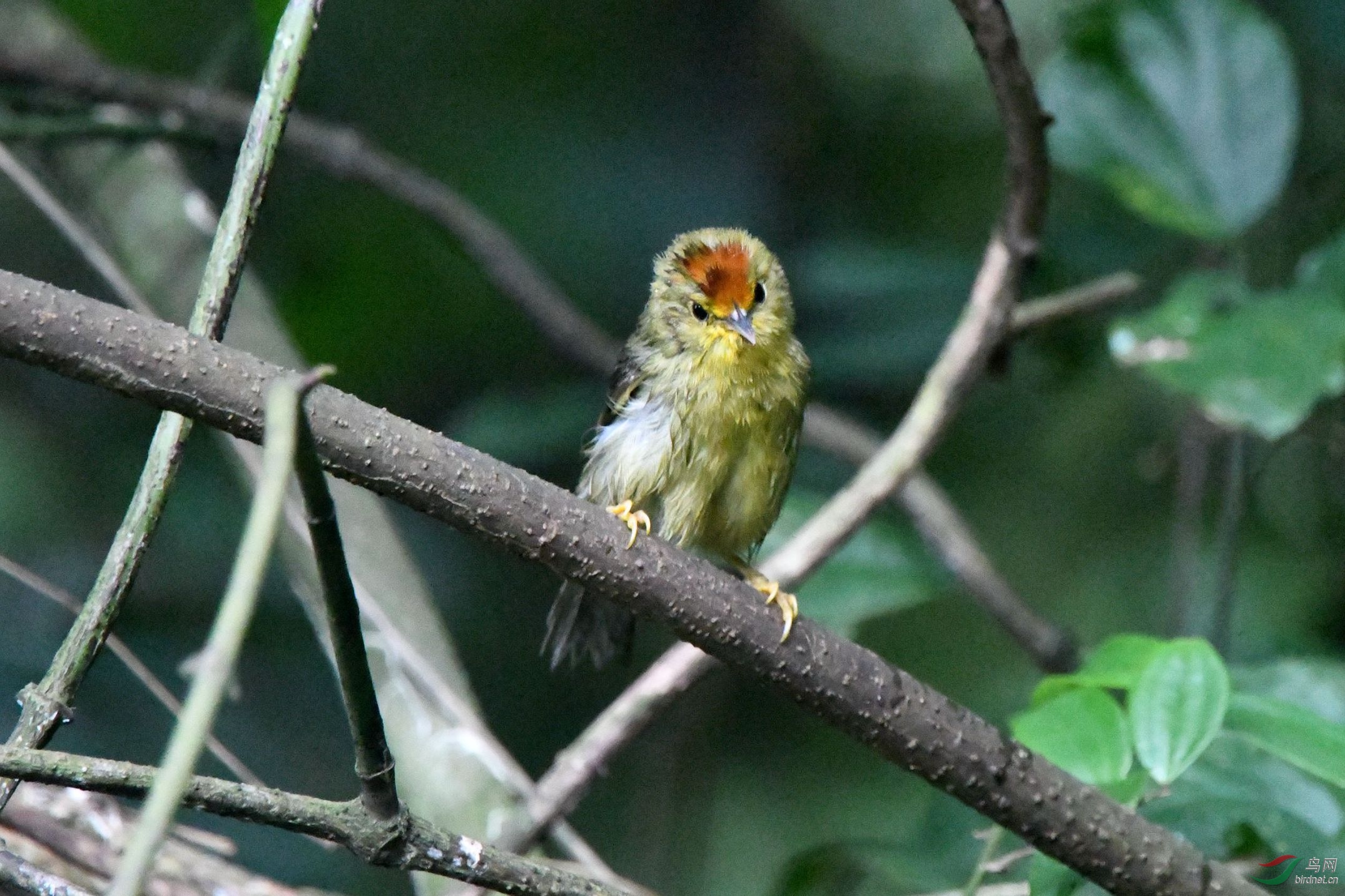 DSC_3375_����.jpg