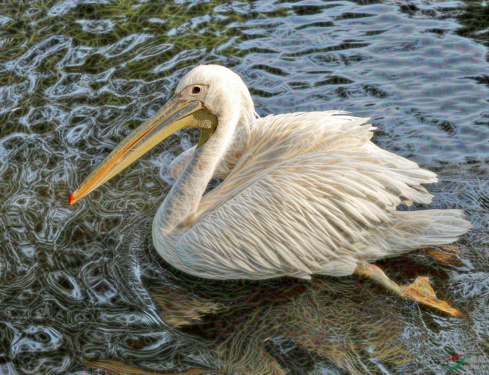 7M7A9807 ����.jpg