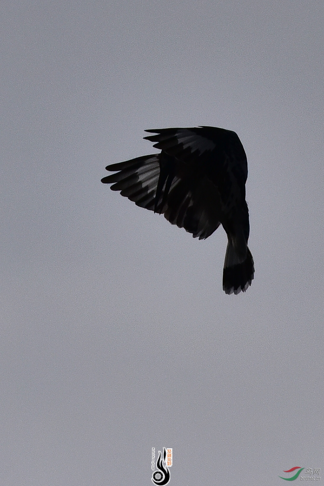 DSC_0973.JPG