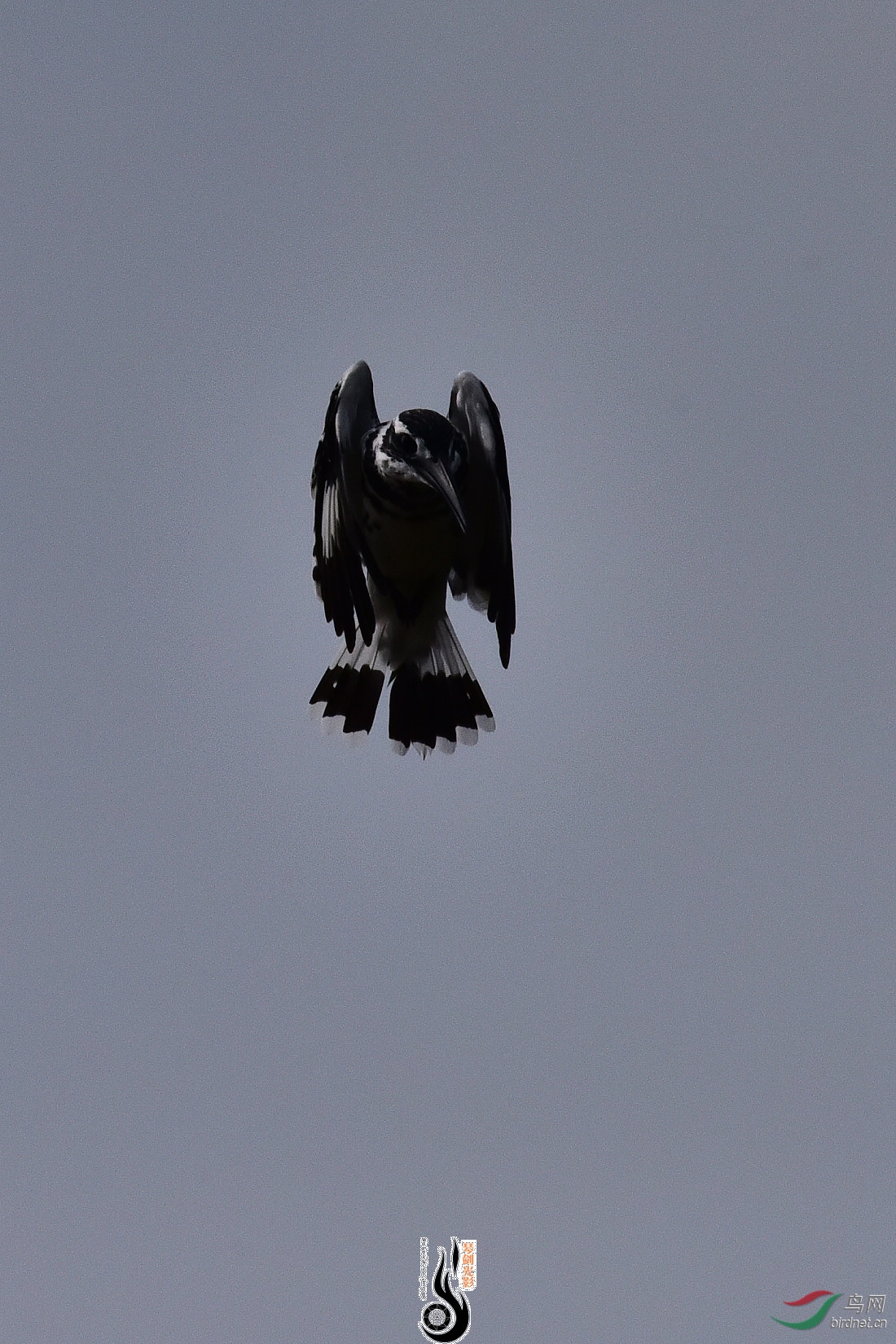 DSC_0975.JPG
