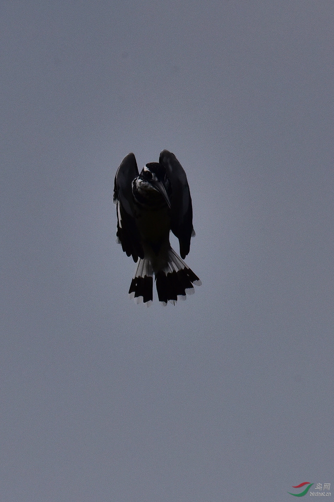 DSC_0976.JPG