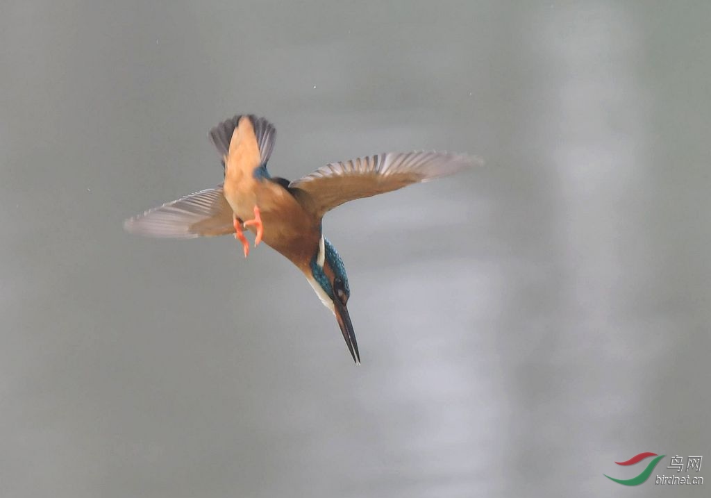 DSC_7828_����.jpg