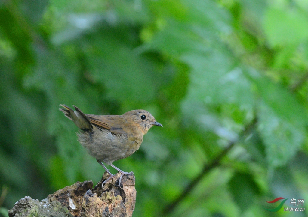 ��0793����β������15.10001 (458).JPG