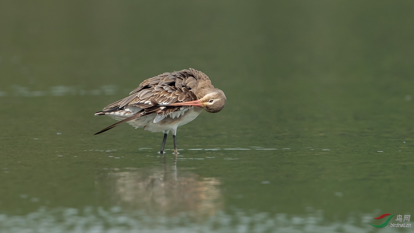 ������ë--��β����