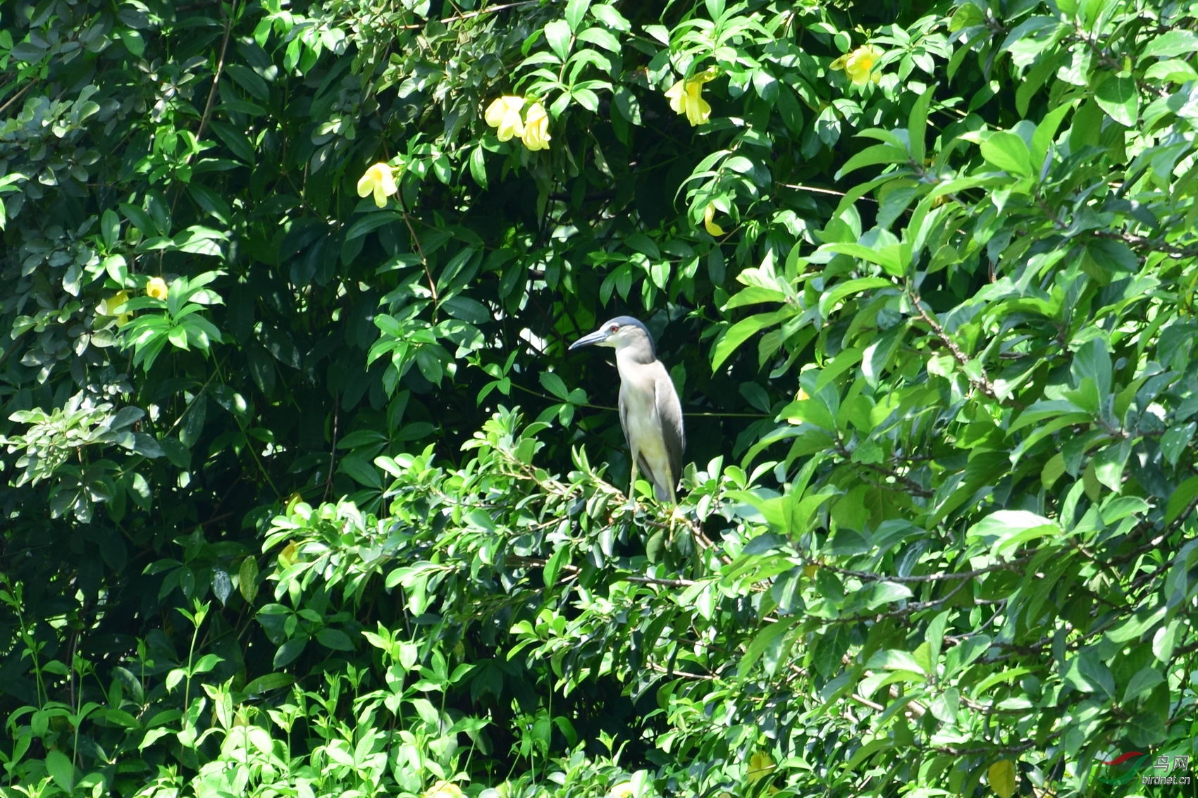 DSC_1094.JPG
