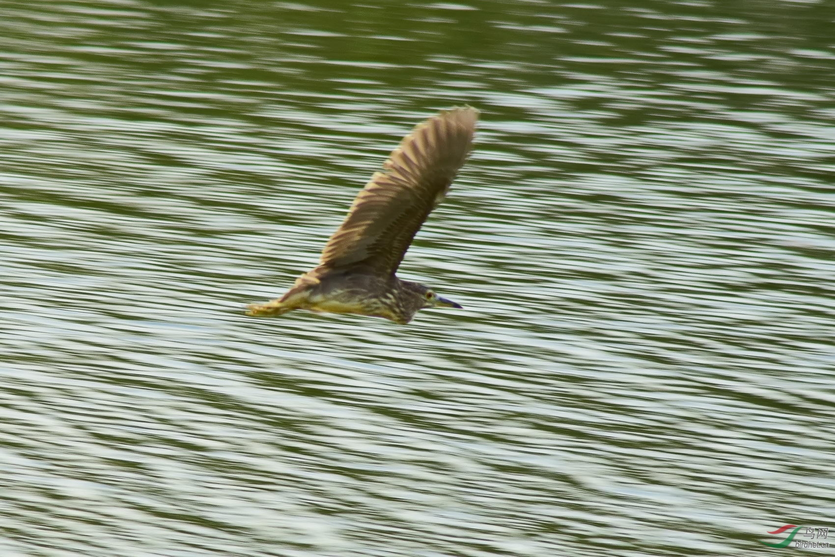 DSC_0875.JPG