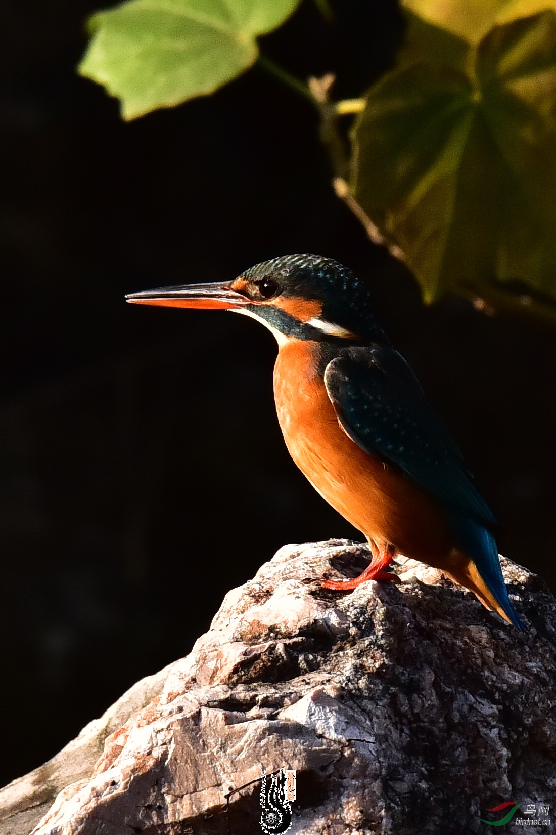 DSC_1025.JPG