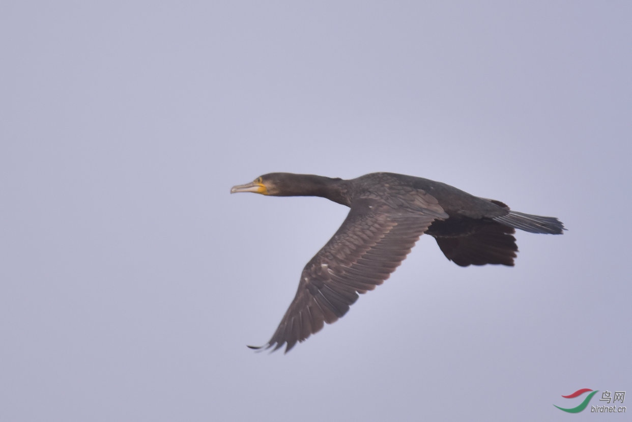 8.JPG