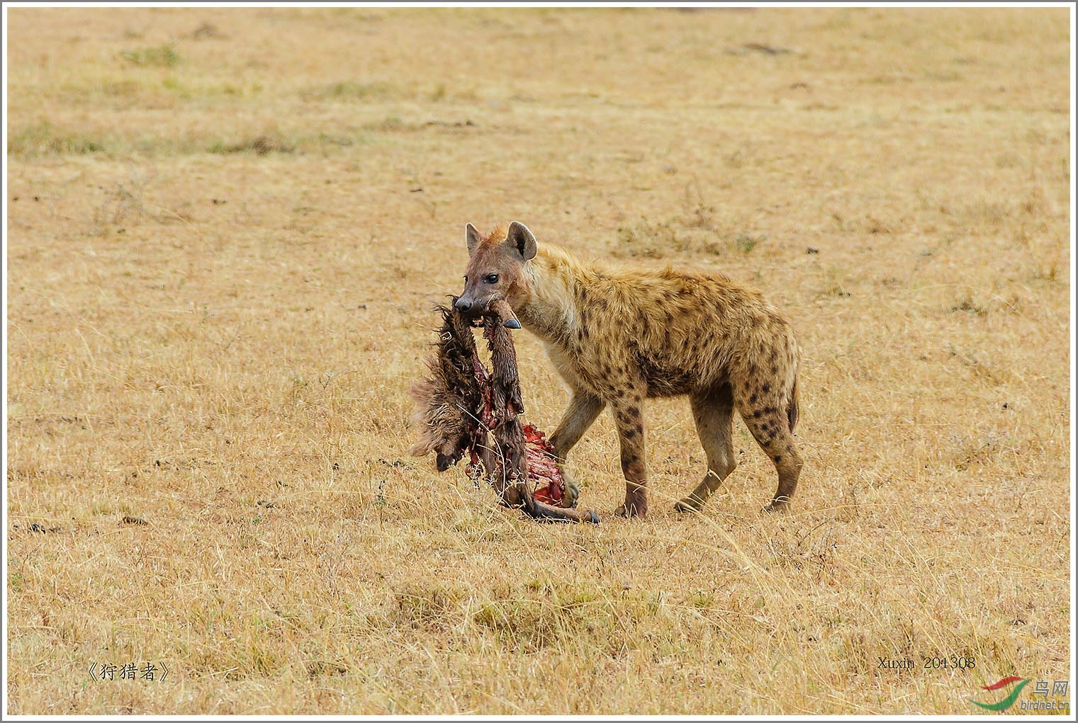 ��_MG_6062��Ϊ���ܶ���-1 1500.jpg