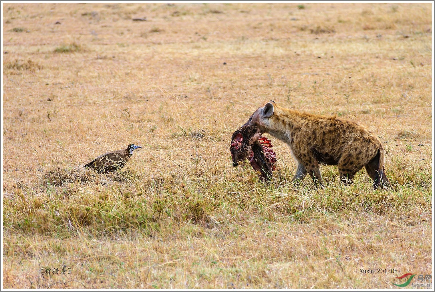 ��_MG_6050��Ϊ���ܶ���-1 1500.jpg