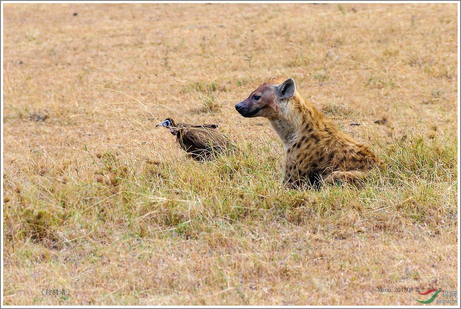 ��_MG_6045��Ϊ���ܶ���-1 1500.jpg