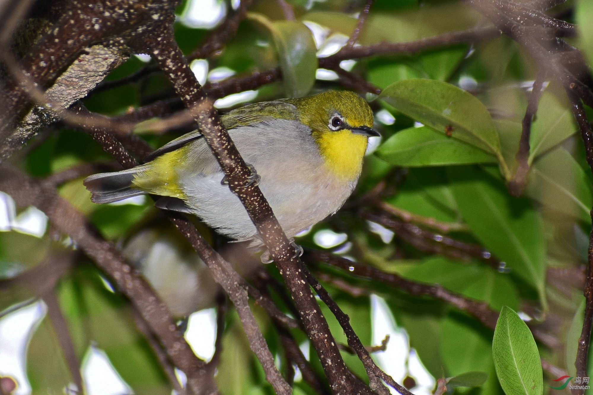 DSC_3880-3.JPG