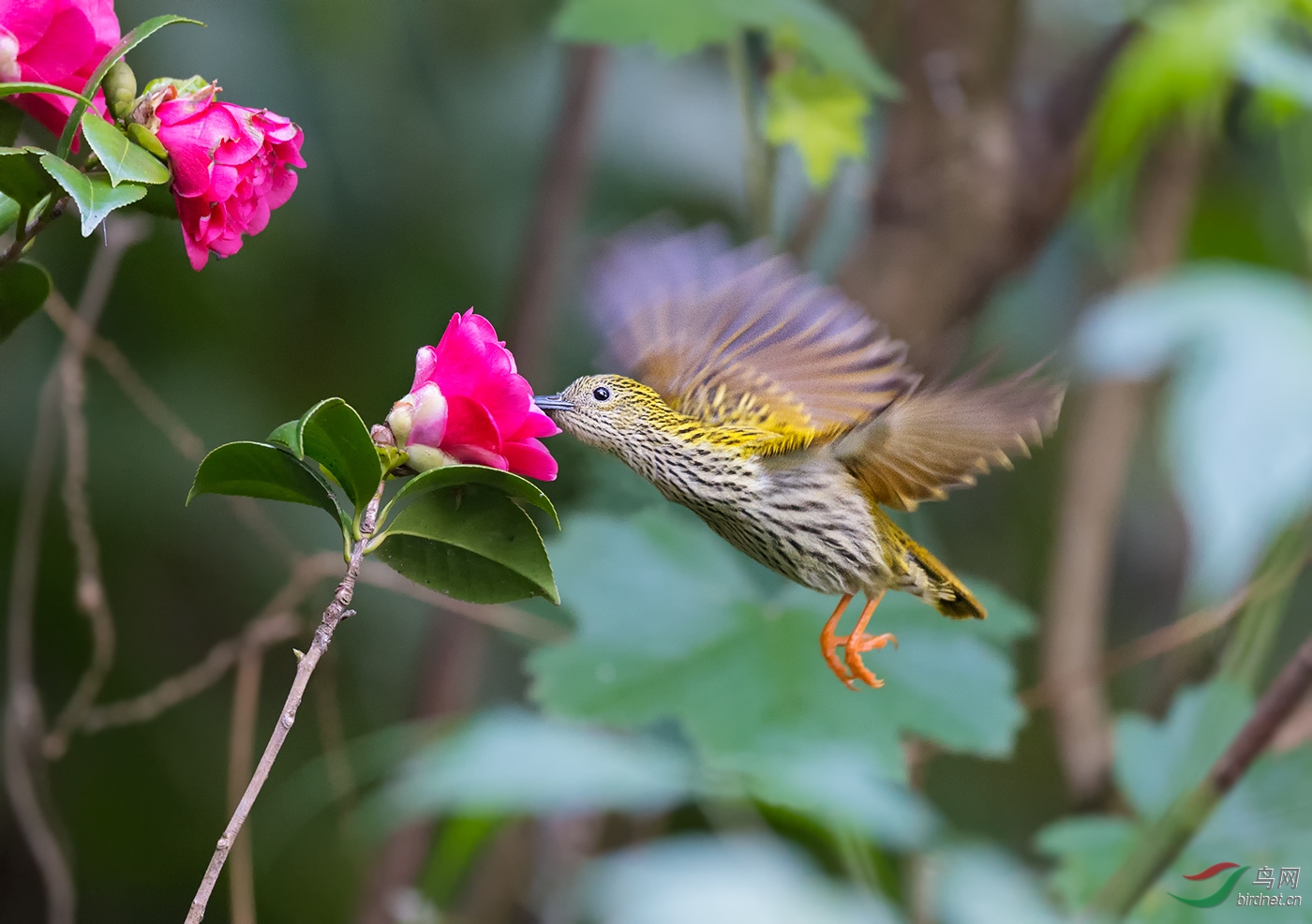 DSC_5184.jpg