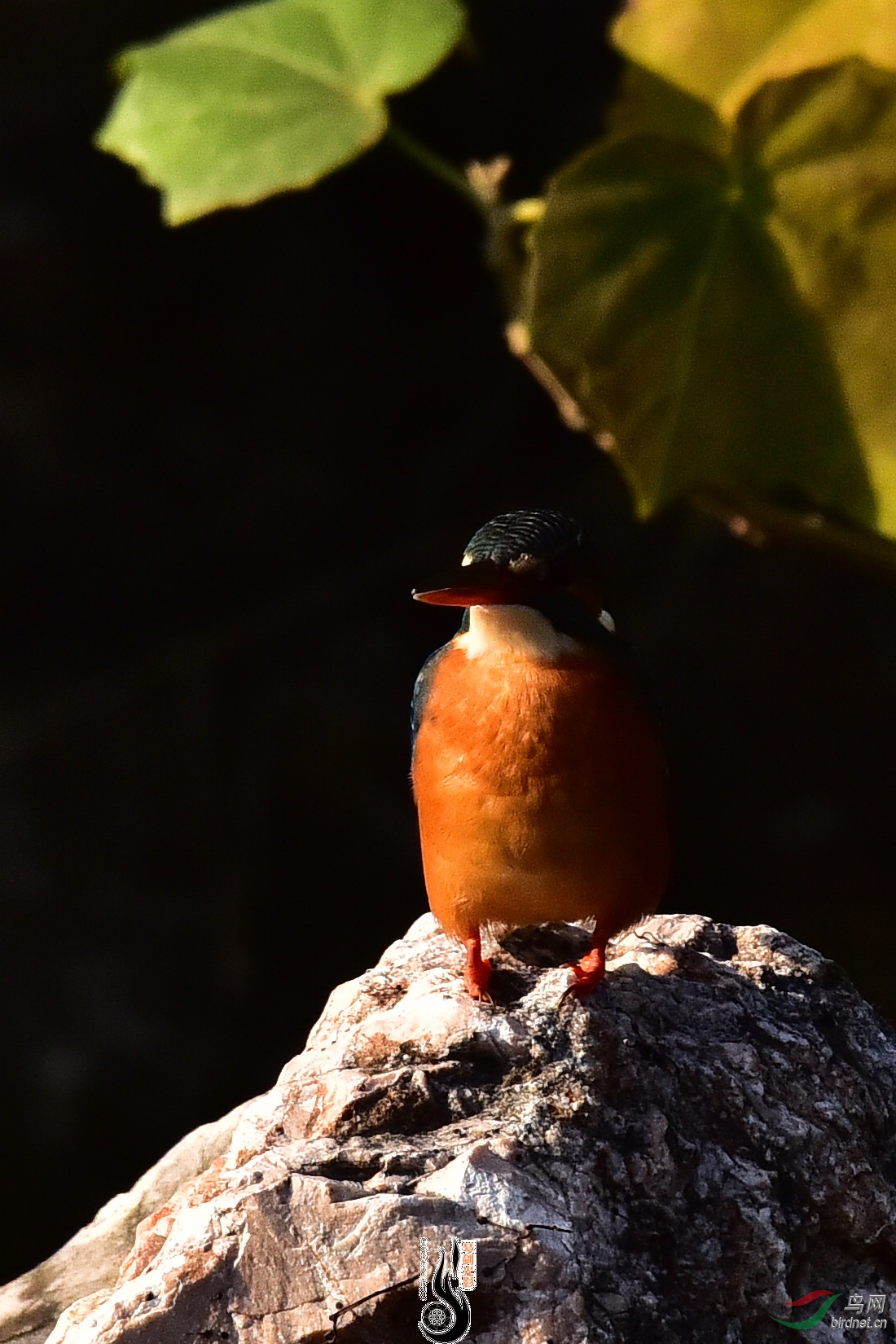DSC_1034.JPG