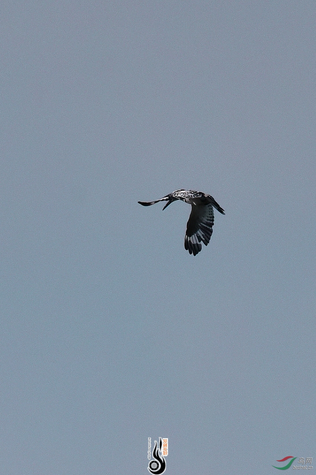 DSC_1038.JPG