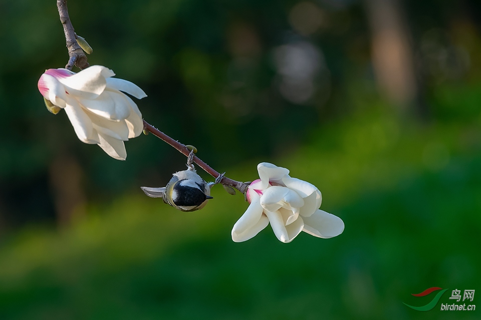DSC_7891_DxOa.jpg