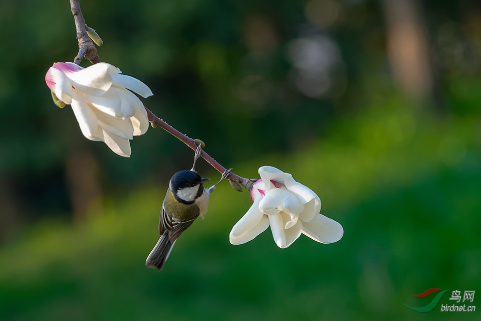 DSC_7892_DxOa.jpg