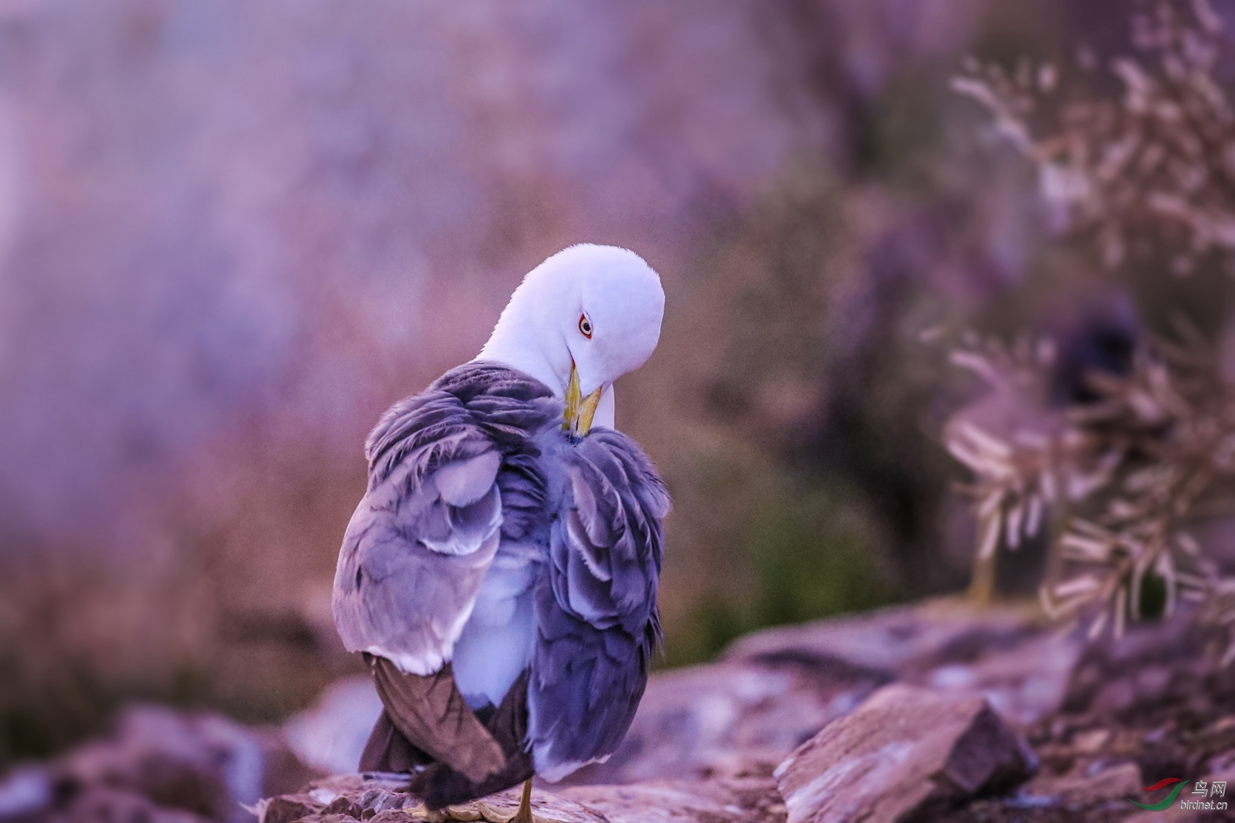 916A1123  01_����.jpg