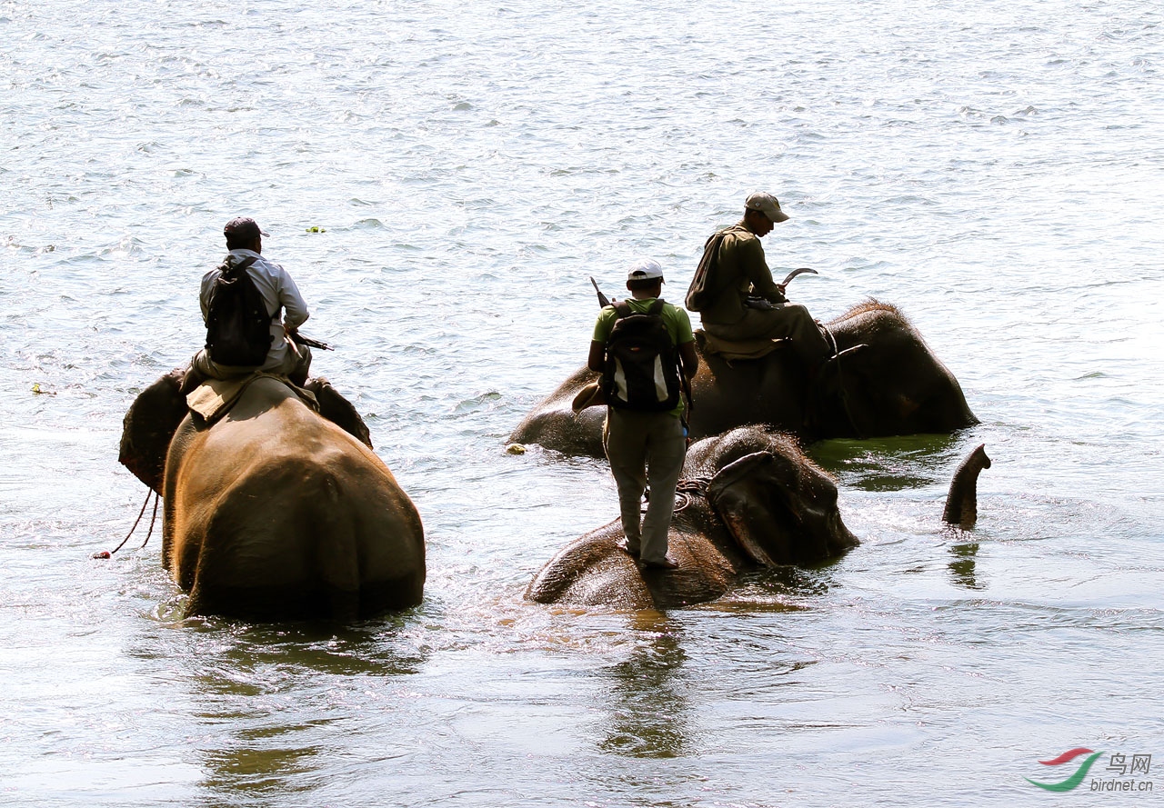 ���� (88)-1.jpg