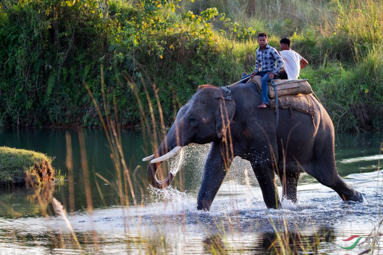 ���� (107)-1.jpg