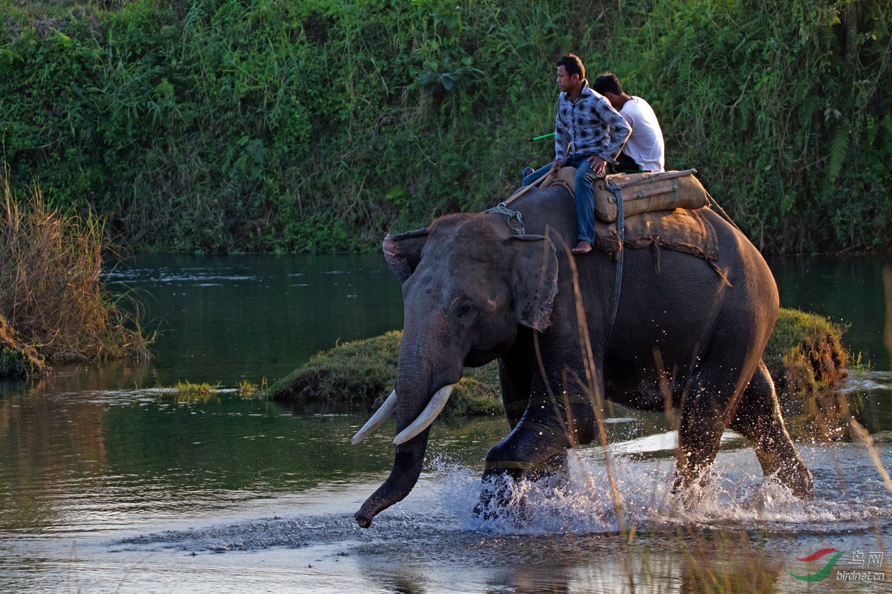 ���� (108)-1.jpg