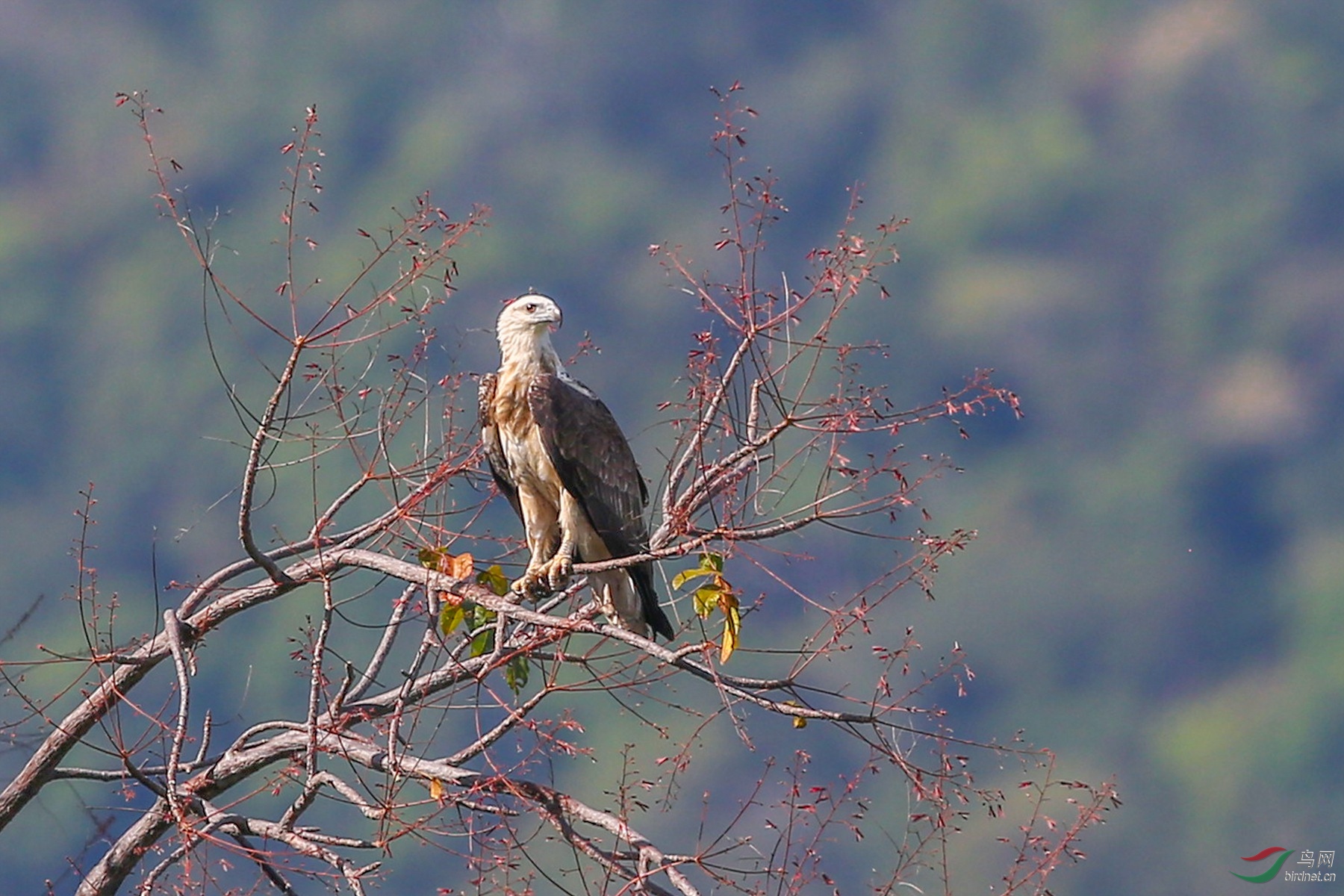 916A1456  �׸���������_����.jpg