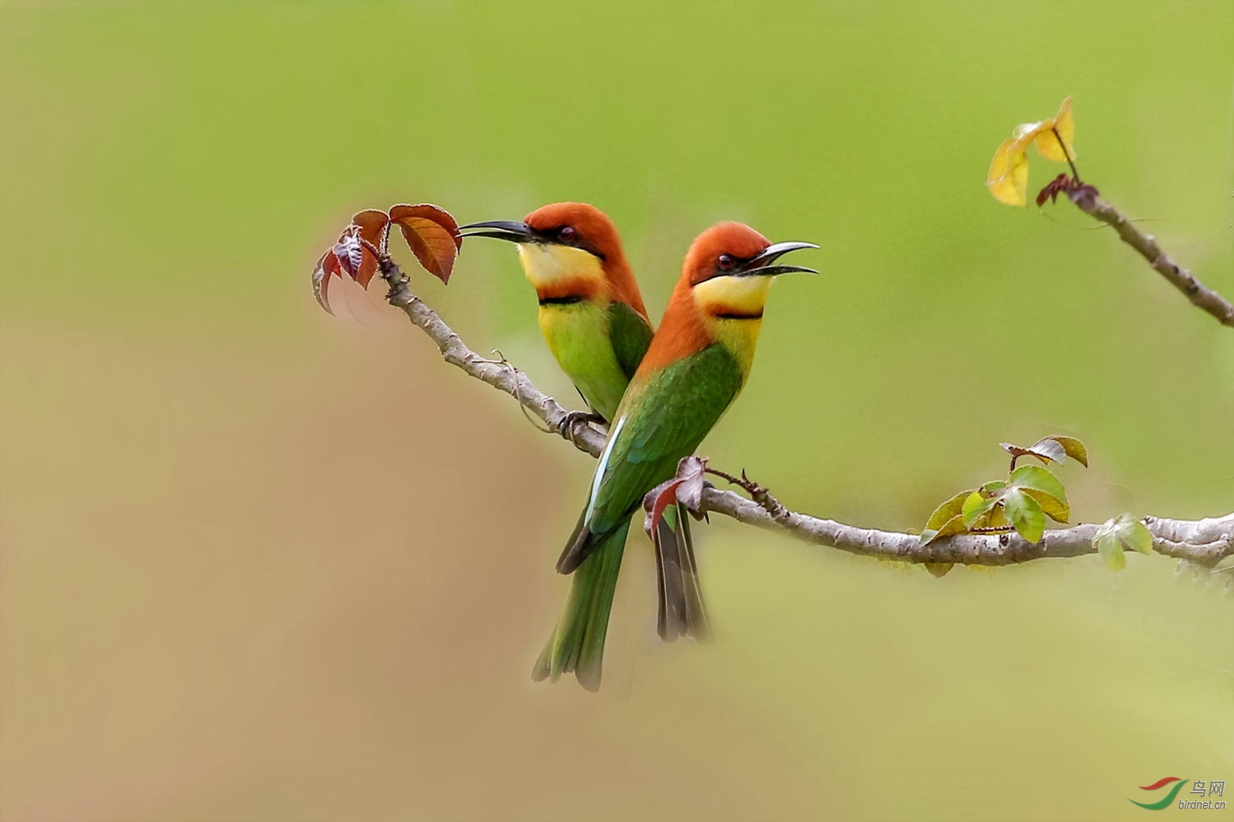 916A0052  01_����.jpg