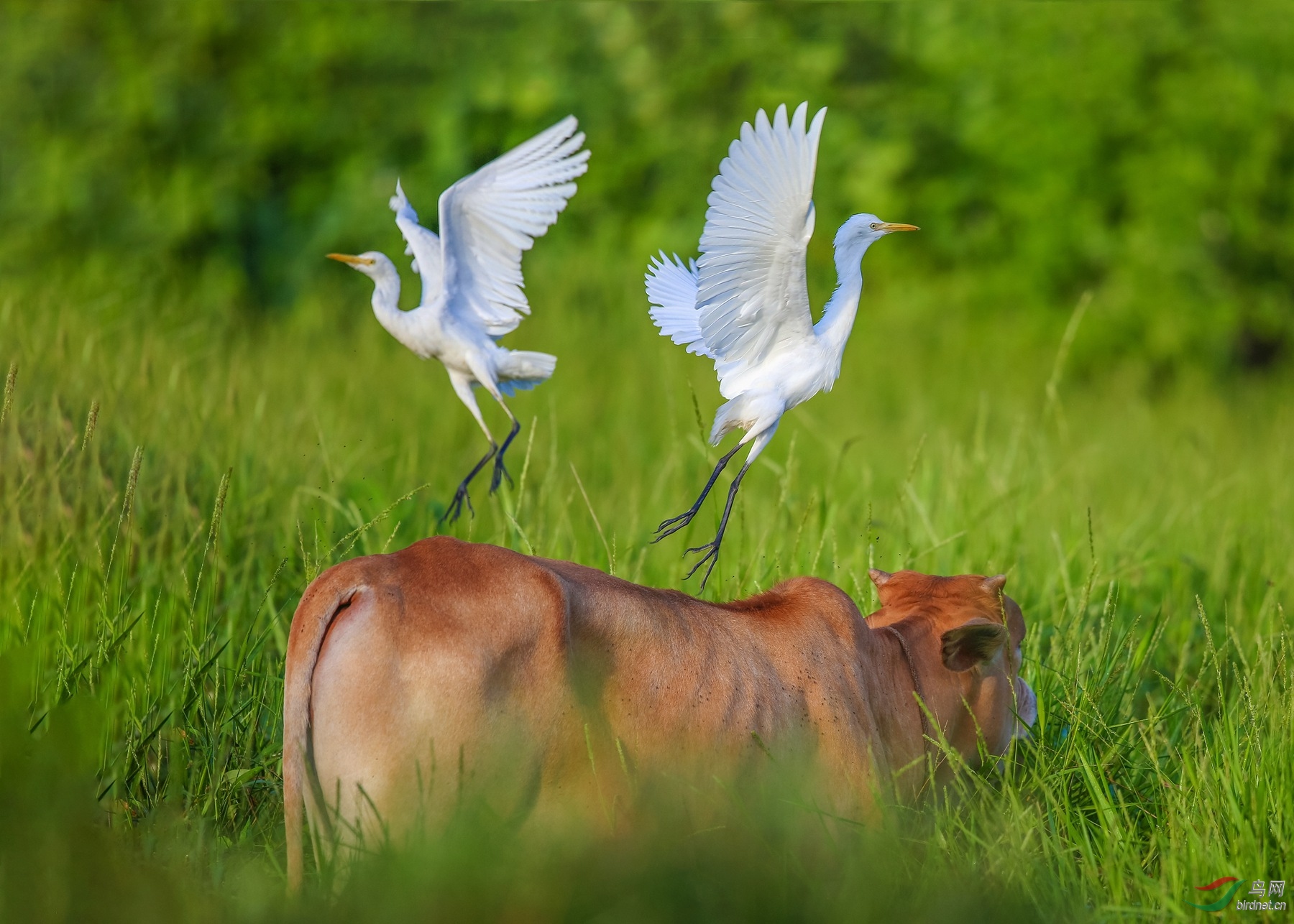 916A2686  01_����.jpg