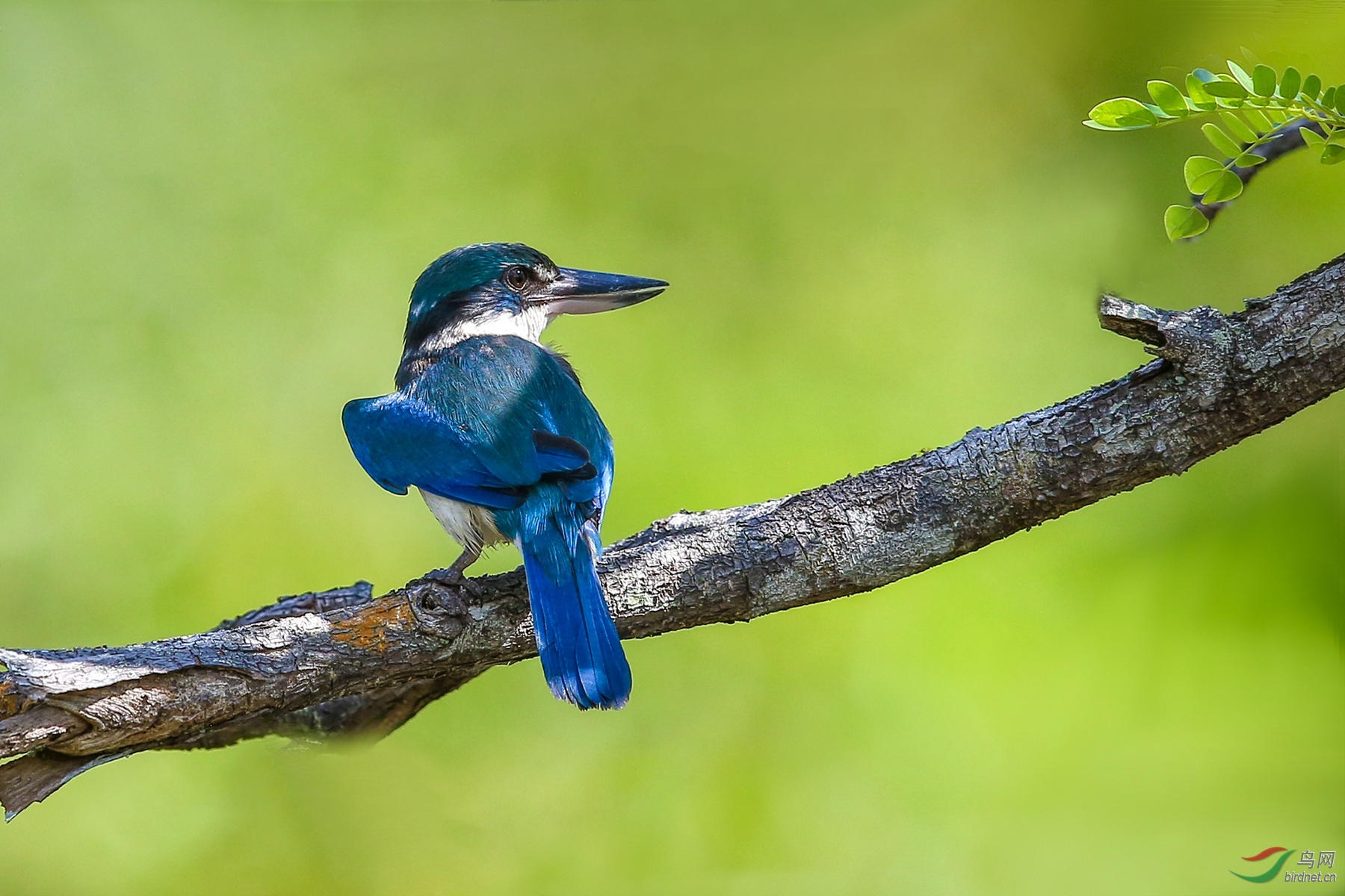 916A4399  01_����.jpg