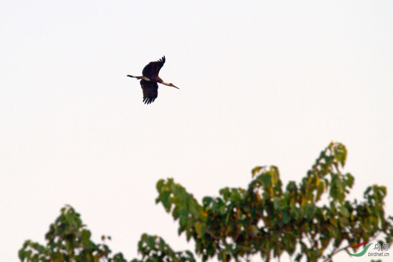 ���� (104)-1.jpg