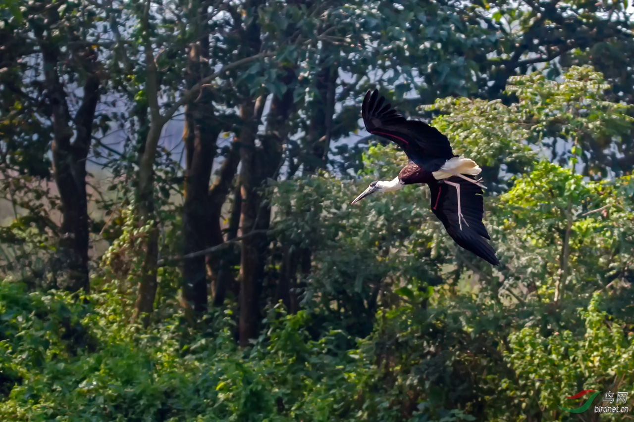 ���� (64)-1.jpg