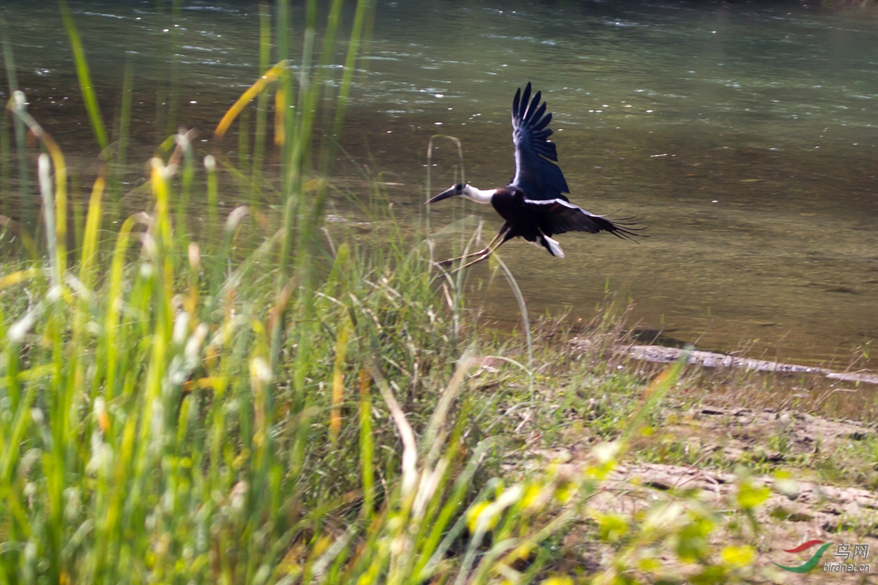 ���� (59)-1.jpg