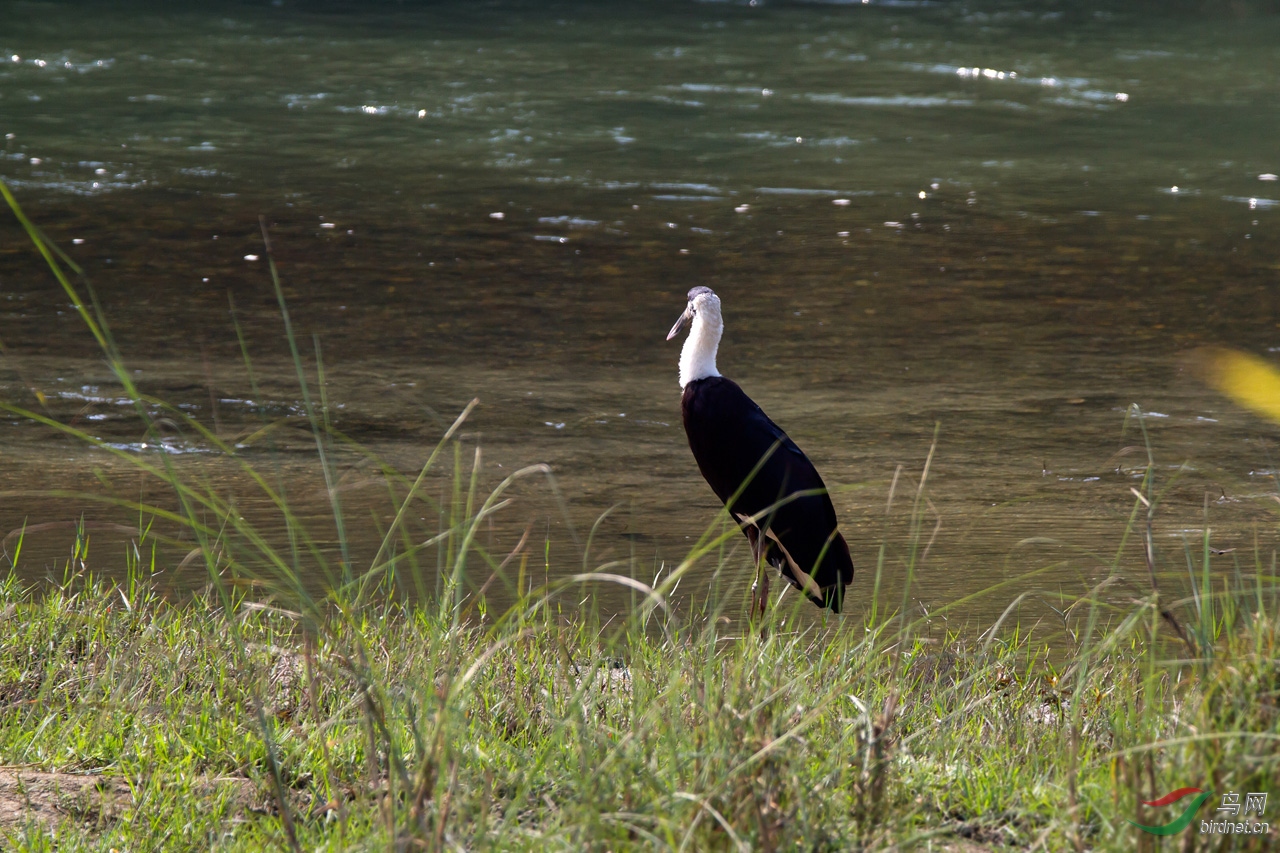 ���� (58)-1.jpg