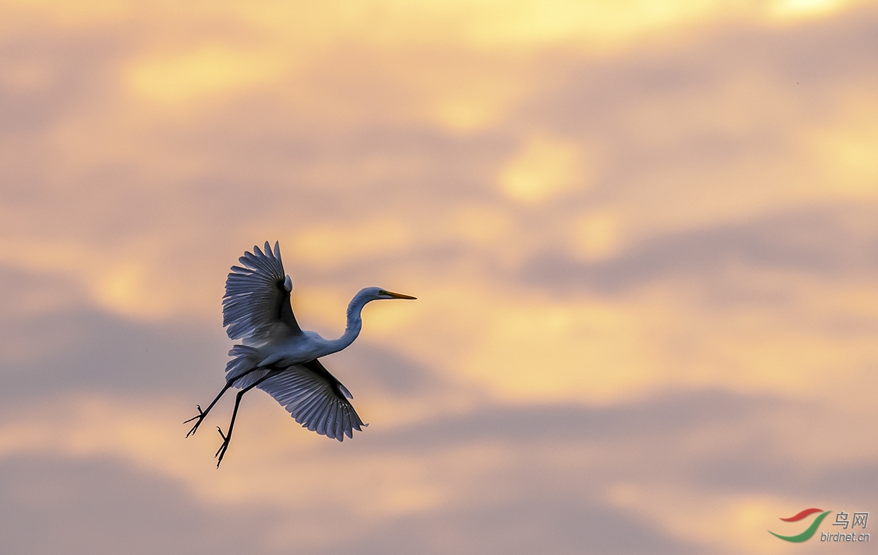 �����ڽ����ϲ���ɽ������