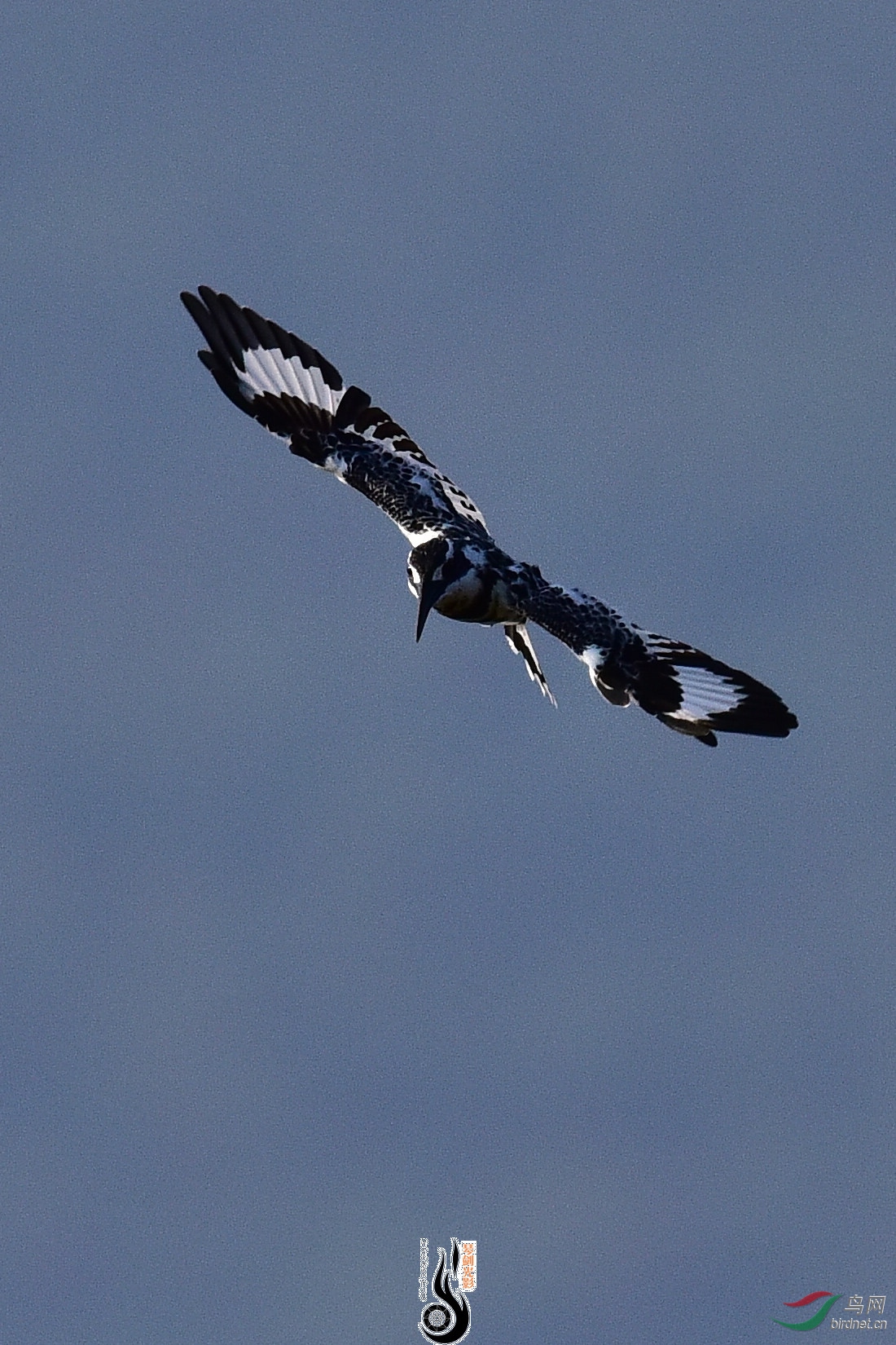 DSC_1051.JPG