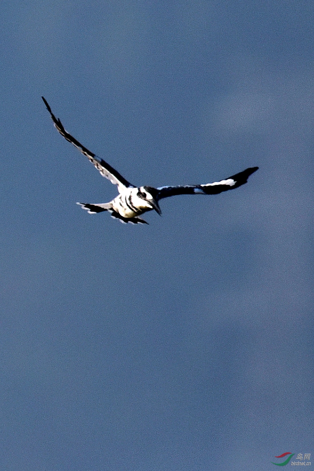 DSC_1054.JPG