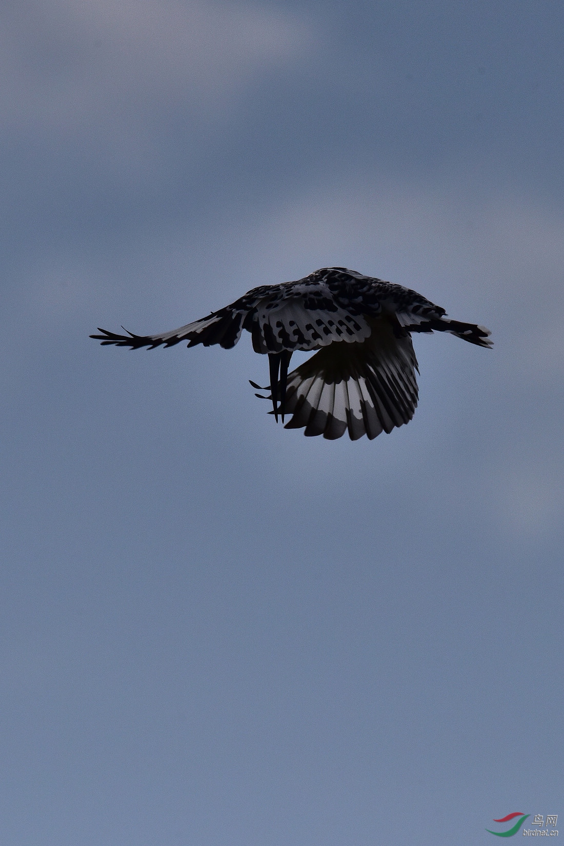 DSC_1061.JPG