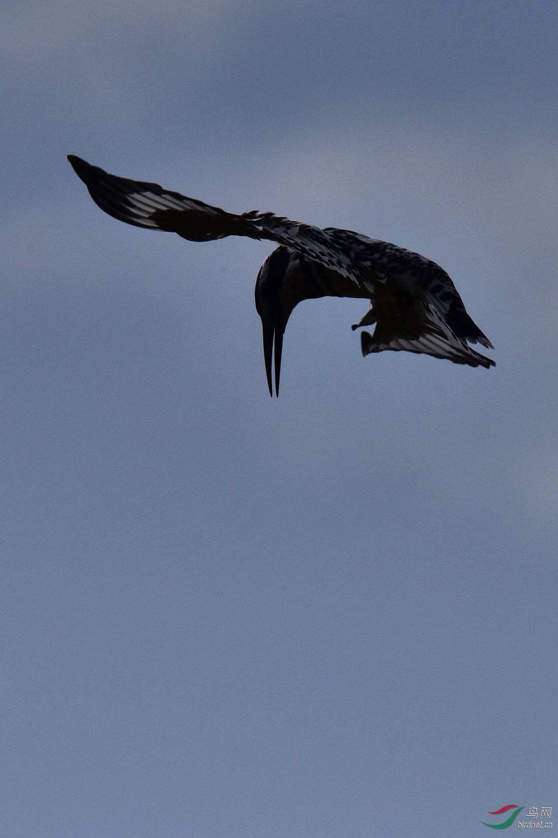 DSC_1062.JPG