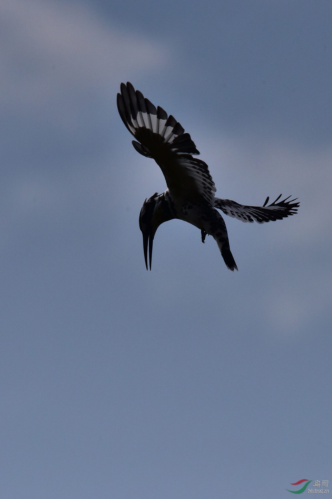 DSC_1063.JPG