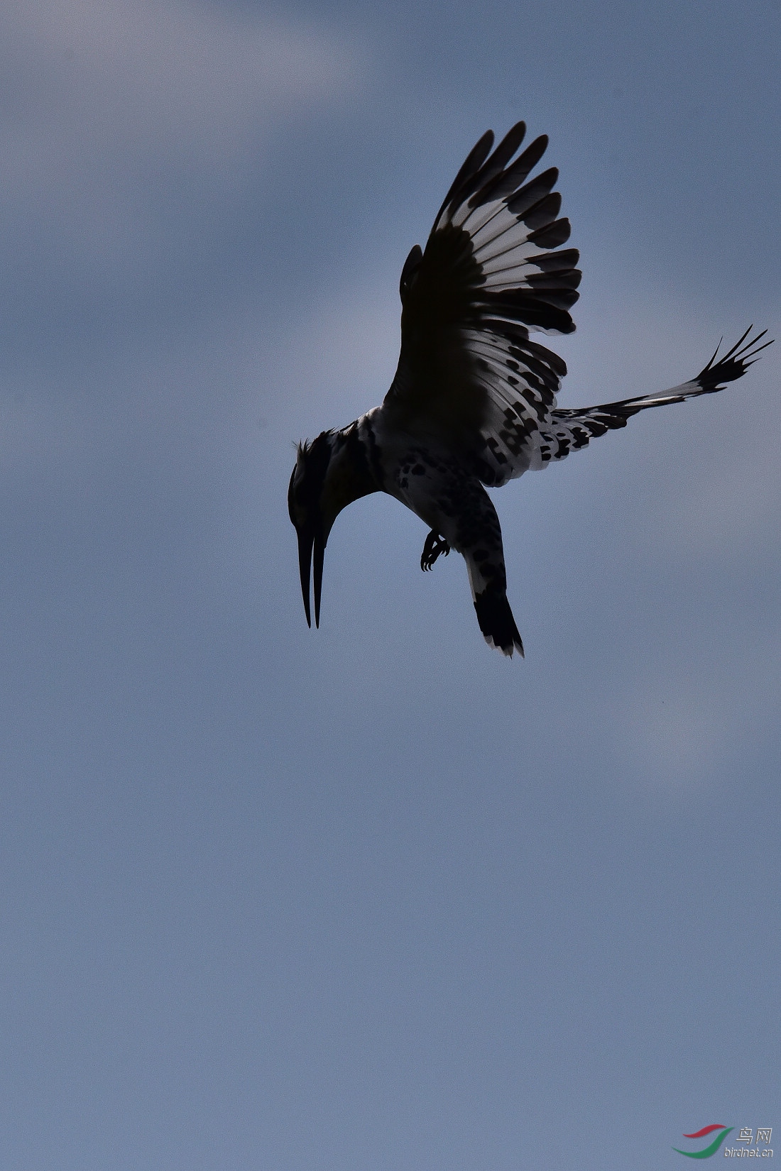 DSC_1064.JPG