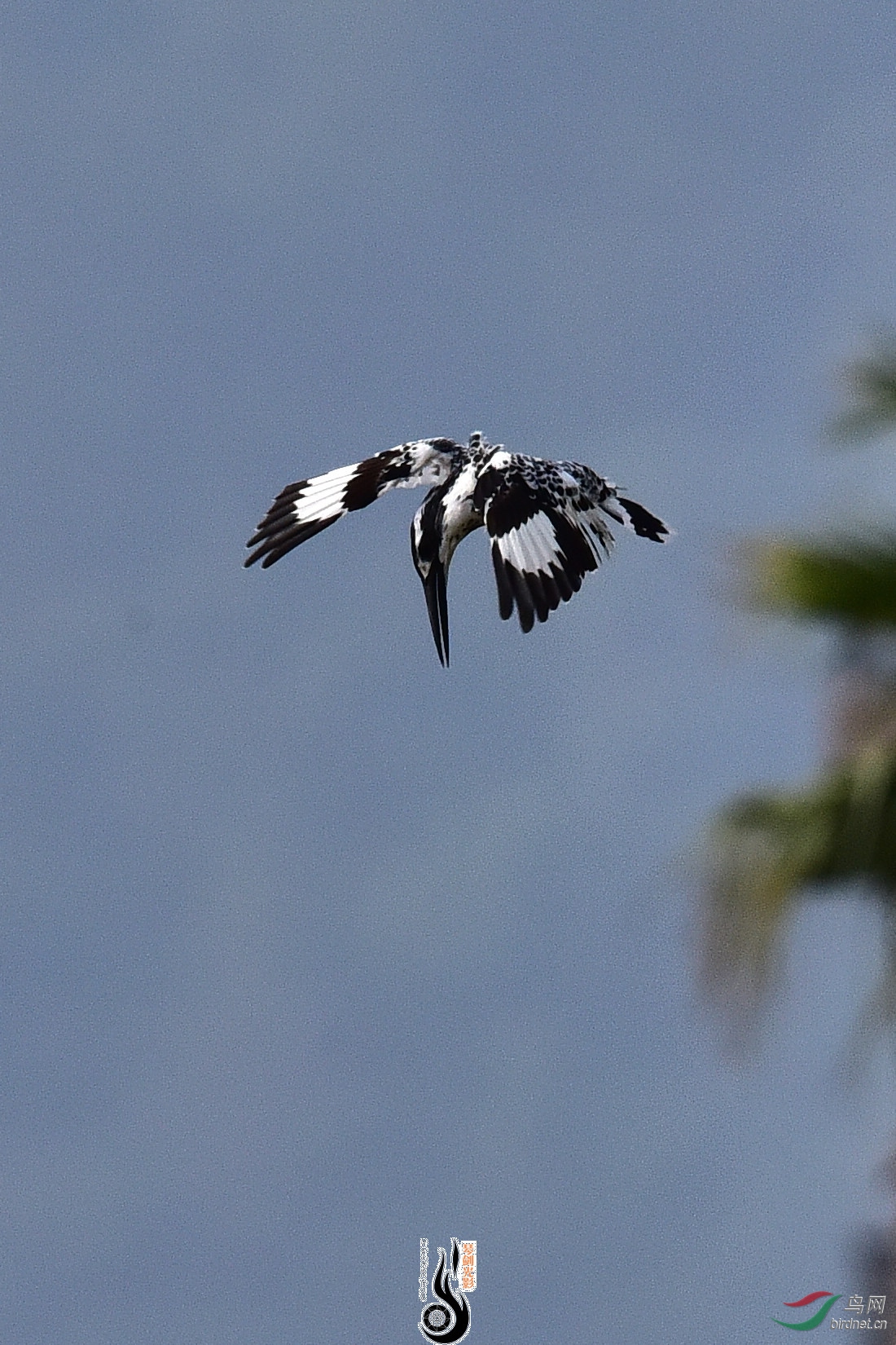 DSC_1067.JPG