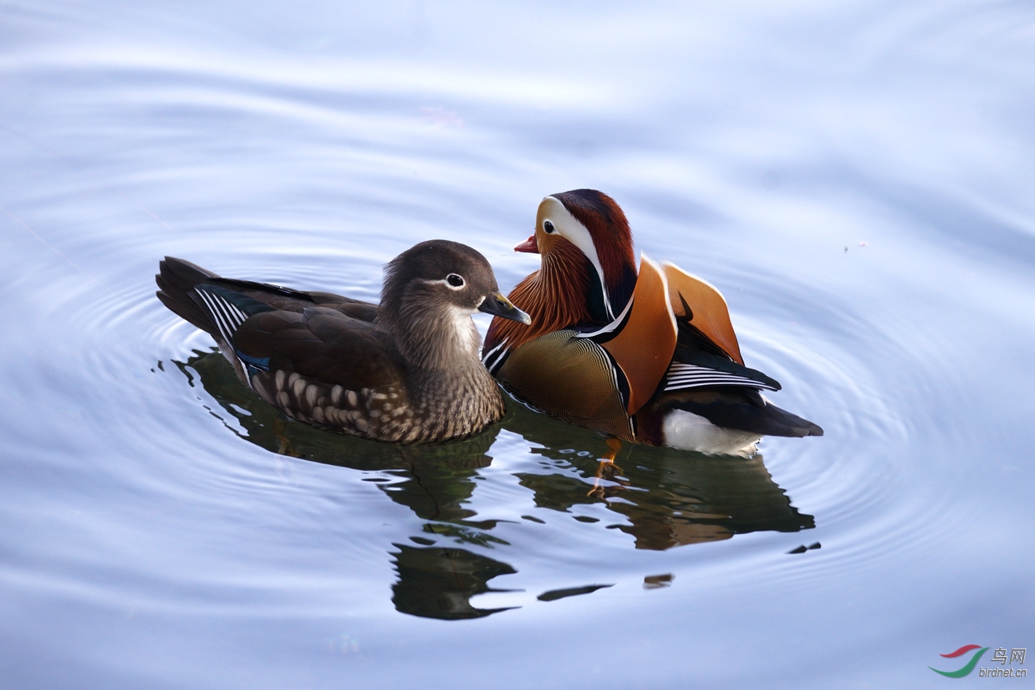DSC08362.jpg