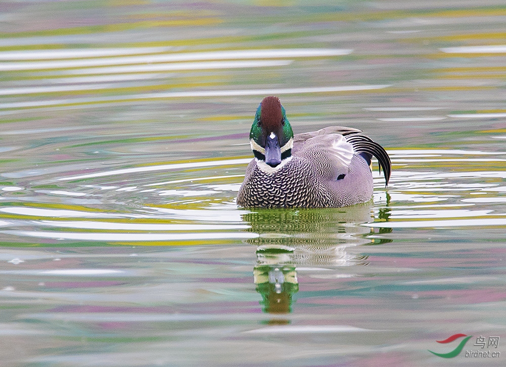 _DSC1682.jpg