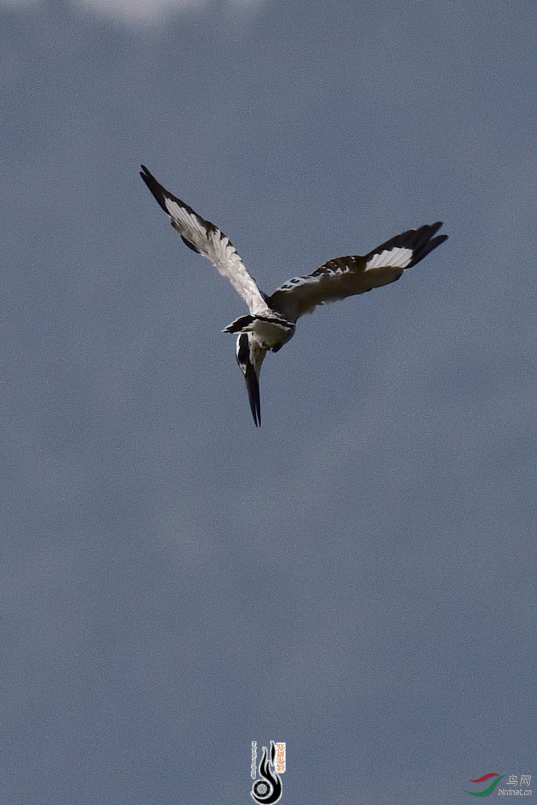 DSC_1071.JPG