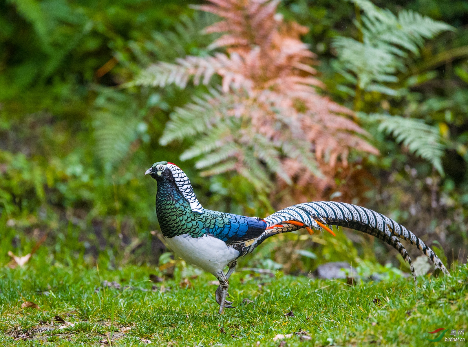 DSC_9109.JPG