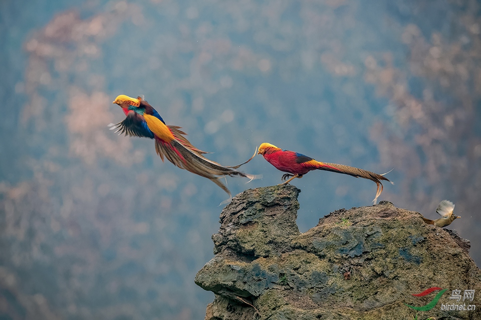 DSC_7573_DxOa.jpg