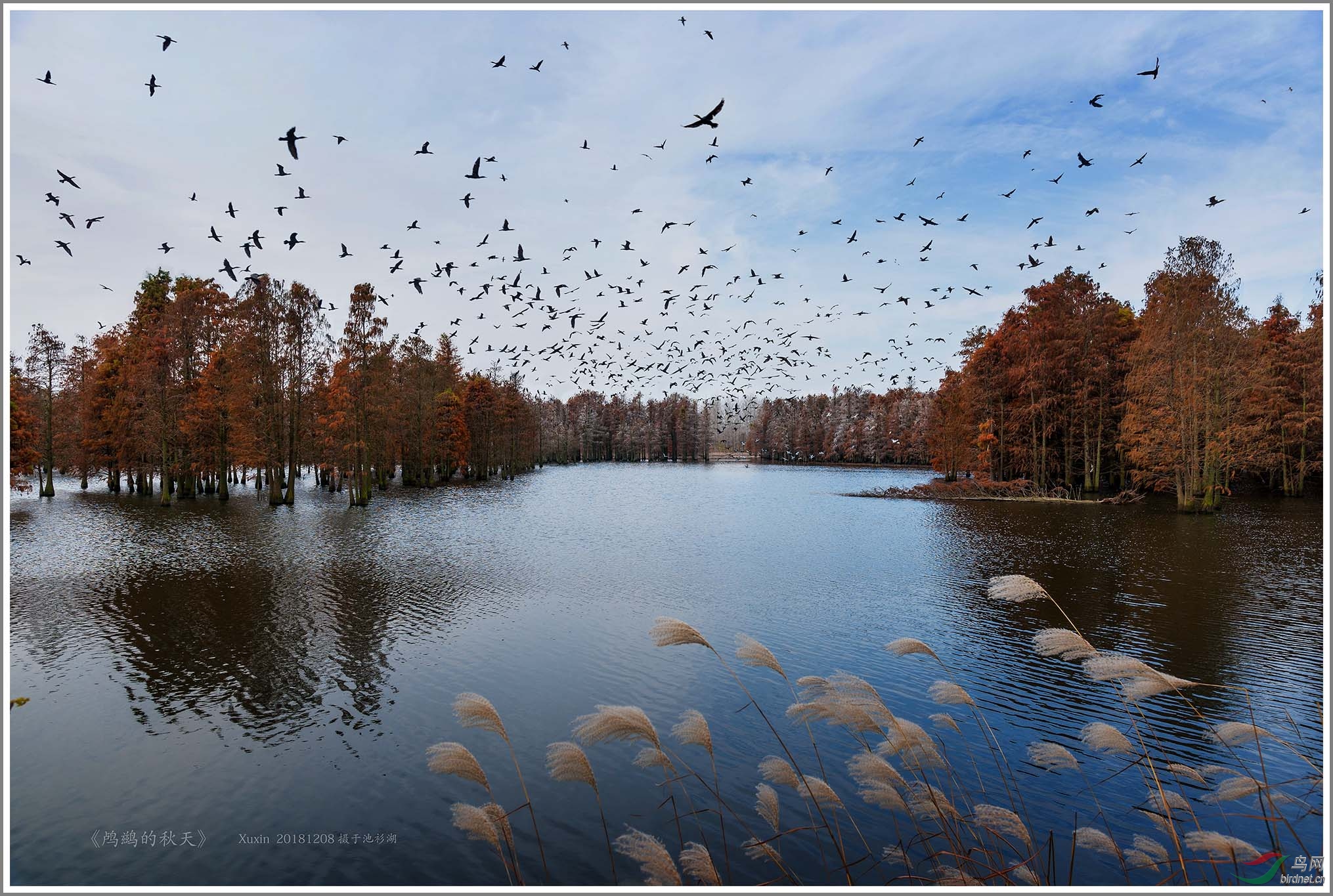 ��˵����� 2000.jpg