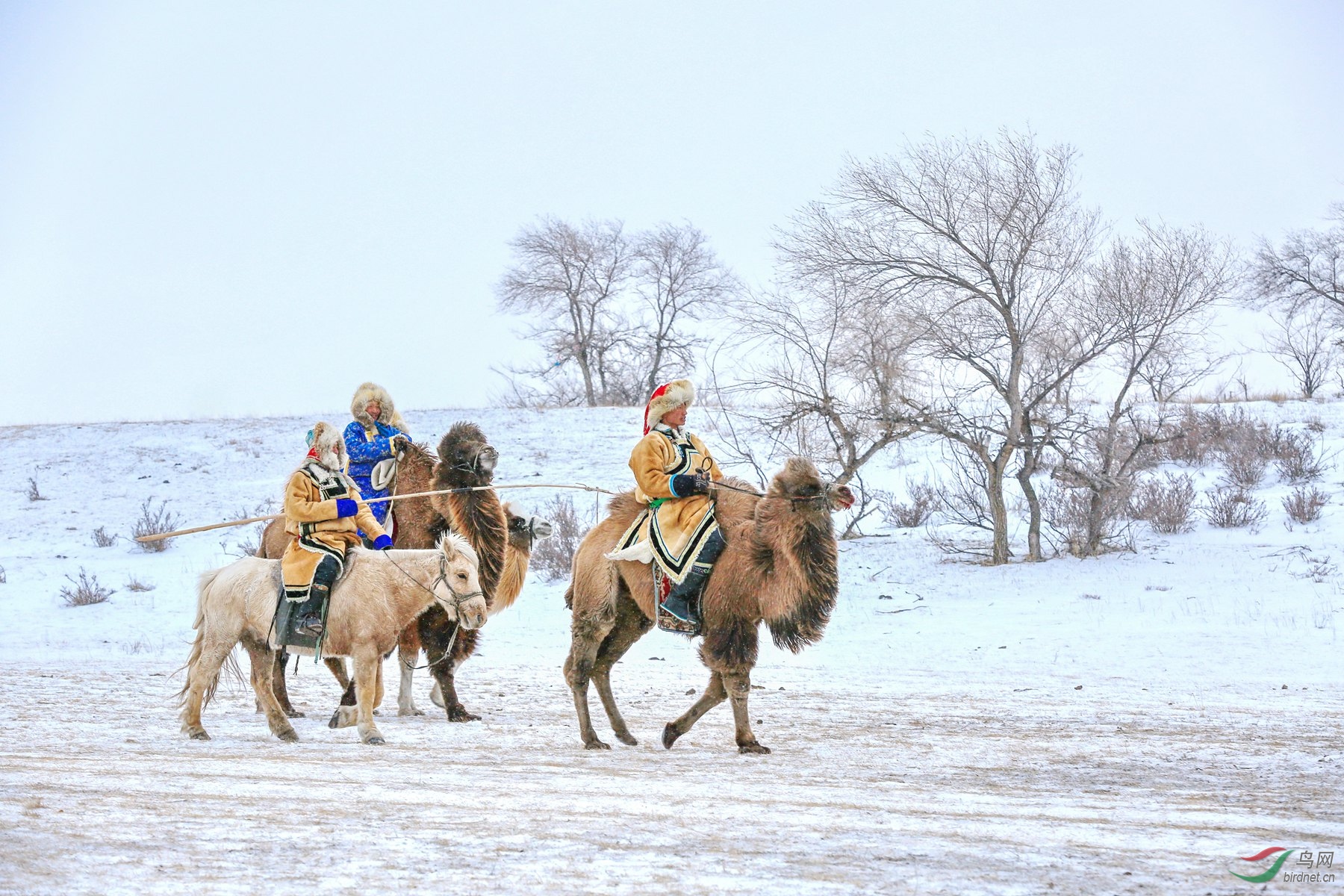 916A6710 ����ѩһ���ˡ�_����.jpg