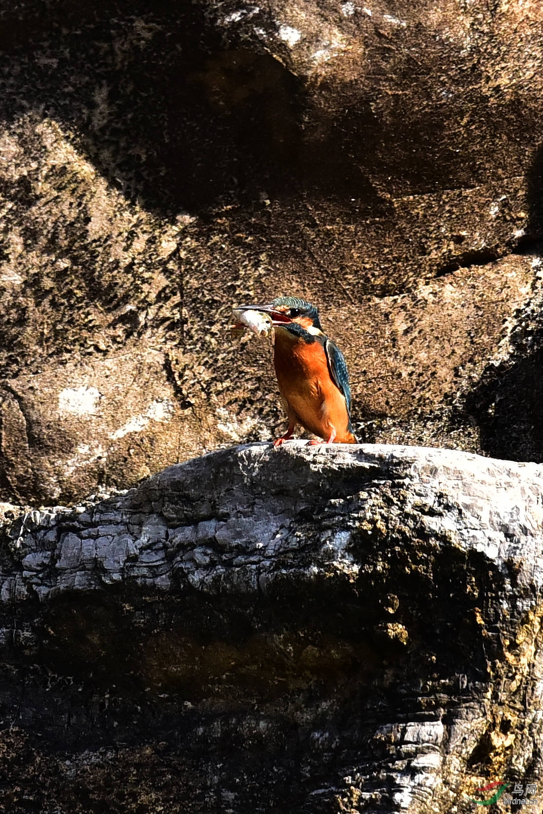 DSC_1106.JPG